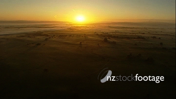 Waikato Farmland 1 143
